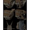 Big Foot – R Assault Tactical Backpack Set (Tan) Big Foot – R Assault Tactical Backpack Set (Tan)
