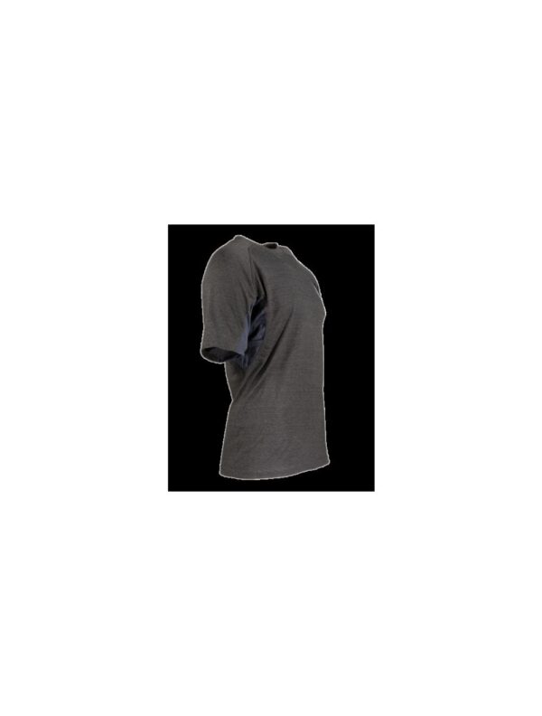 Ragnar Raids AESIR T-Shirt Norse – c.Grey – Size L