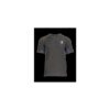 Ragnar Raids AESIR T-Shirt Norse – c.Grey – Size L