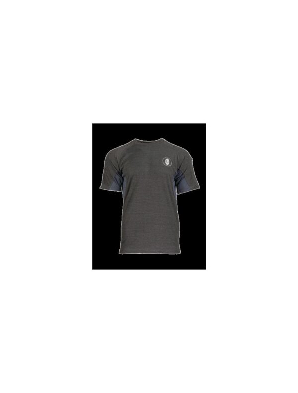 Ragnar Raids AESIR T-Shirt Norse – c.Grey – Size L