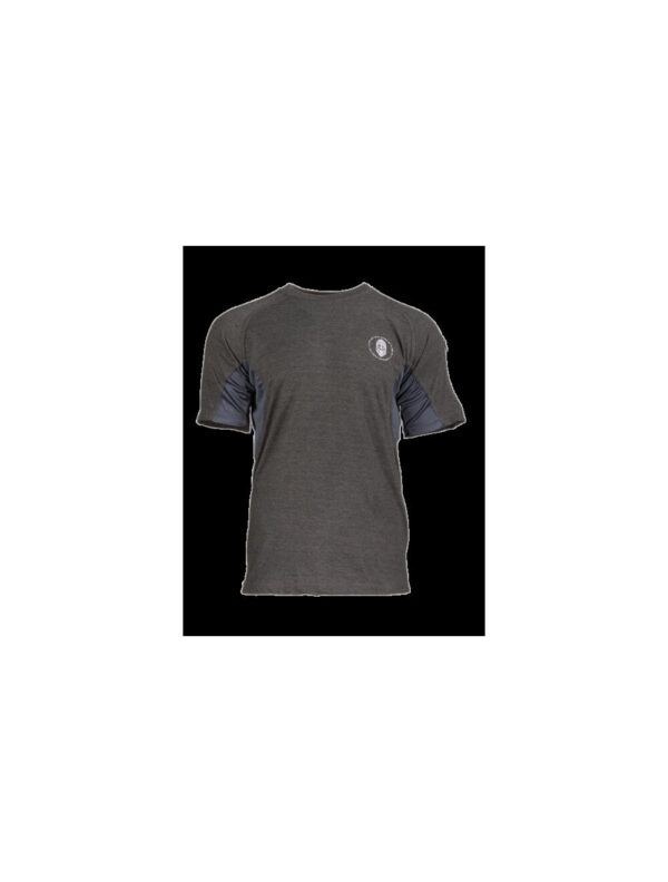 Ragnar Raids AESIR T-Shirt Rune – c.Grey – Size S
