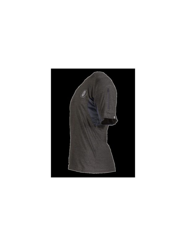 Ragnar Raids AESIR T-Shirt Rune – c.Grey – Size S