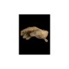 Ragnar Raids VALKIRIE MK2 Gloves c.Coyote Size XL Ragnar Raids VALKIRIE MK2 Gloves c.Coyote Size XL