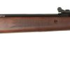 CROSMAN VANTAGE .22